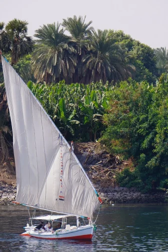 Steigenberger-Cruises-5