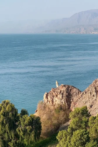 Steigenberger-Resort-Taba-1