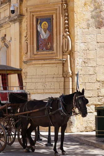 visit-malta-5-scaled